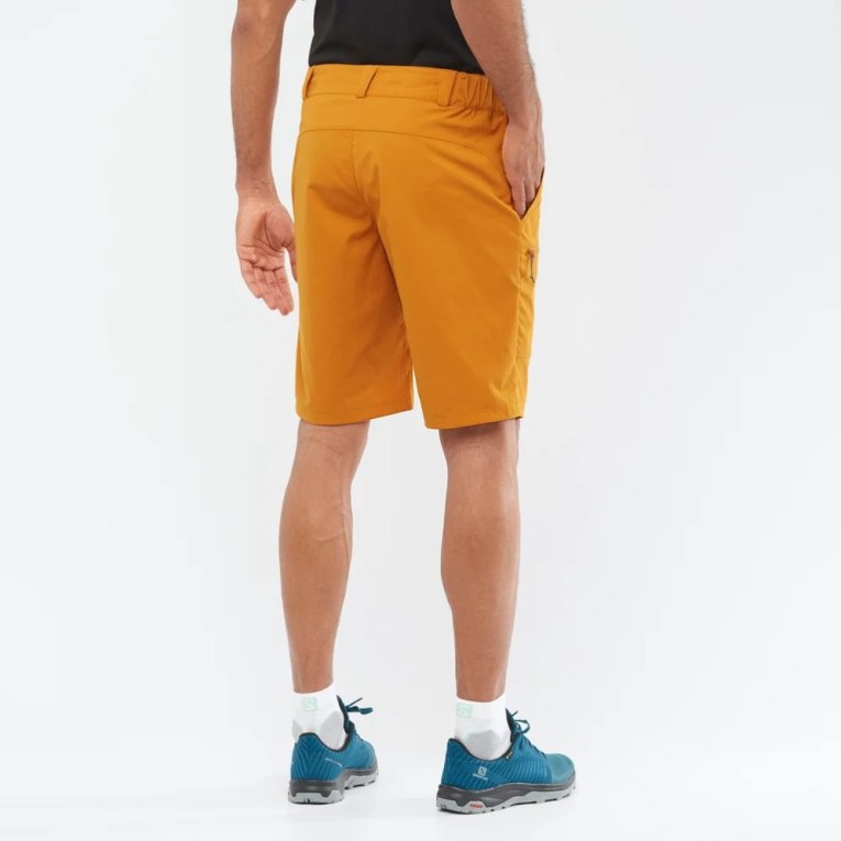 Yellow Salomon Outrack Men's Shorts | IE UX5819